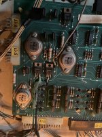 IMG_3556.jpeg
