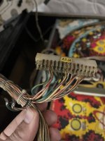 IMG_3589.jpeg