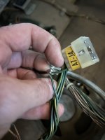 IMG_2704.jpeg