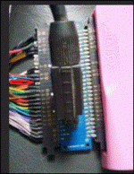 JAMMA  02.GIF
