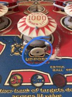 IMG_9368.jpeg