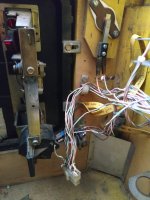 IMG_20230904_131301.jpg