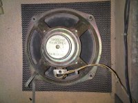 IMG04323-20230912-1357.jpg