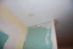 DSC_1282.JPG