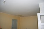 DSC_1392.JPG