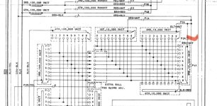 IMG_5937.jpeg