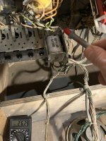 IMG_0311.jpeg
