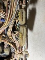 IMG_0520.jpeg
