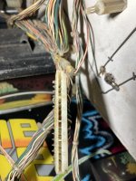 IMG_0518.jpeg