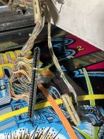 IMG_0516.jpeg