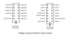 loterie_connecteurs_fronton.jpg