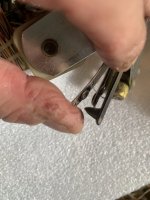 IMG_1166.jpeg