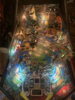 IMG_8951.jpeg