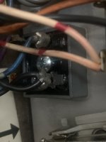 IMG_8983.jpeg