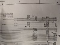 1000008568.jpg