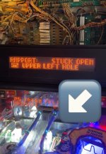 IMG_9357.jpeg
