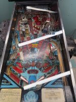 IMG_1773.jpeg