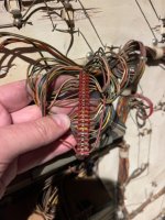 IMG_4004.jpeg