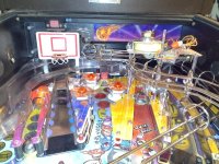 IMG_20250301_115948924.jpg