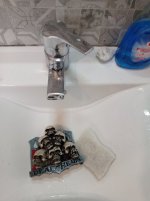 IMG_20250403_155242.jpg