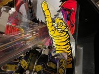 IMG_9983.jpg IMG_9983.jpg
