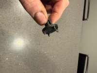 IMG_6296.jpeg IMG_6296.jpeg