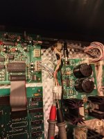 1000010561.jpg 1000010561.jpg