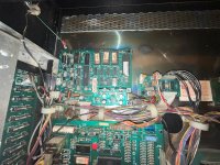 IMG_1295.jpeg IMG_1295.jpeg