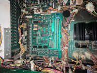 IMG_1296.jpeg IMG_1296.jpeg