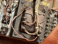 IMG_3364.jpeg IMG_3364.jpeg