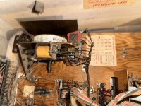 IMG_2786.jpeg IMG_2786.jpeg