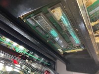 IMG_3968.jpeg IMG_3968.jpeg