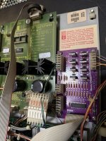 IMG_1364.jpeg IMG_1364.jpeg