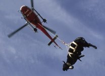 Vache-Helico.jpg