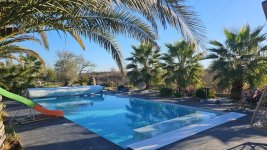 WhatsApp Image 2026-03-30 at 19.47.08.jpeg