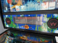 IMG_5218.jpeg