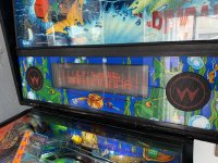 IMG_5219.jpeg