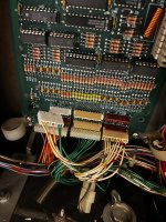 IMG_2362.jpeg