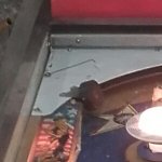20160426_191810-1.jpg