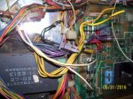 flipper 016.JPG