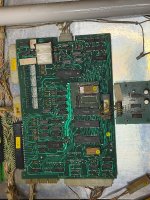 IMG_4357.jpeg