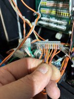 IMG_7344.jpeg