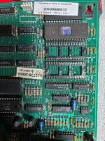 IMG_7393.jpeg