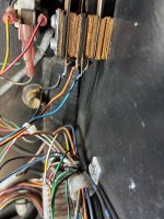 IMG_7513.jpeg