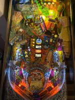 IMG_7726.jpeg IMG_7726.jpeg