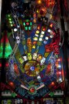 IMG_4229.jpg