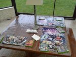 20160408_073350.jpg