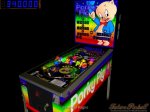 porky pig (2.side)_B5o.jpg