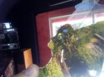 IMG_20160813_150317.jpg