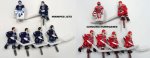 ice player 03.jpg